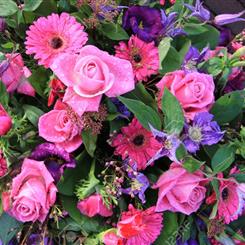 The Pinks &amp; Purples Florist Choice Bouquet in Water