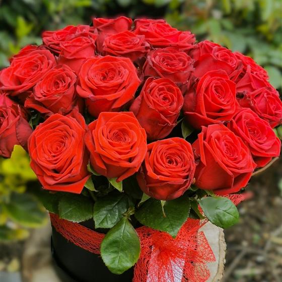 Luxury Red Naomi Roses Hatbox