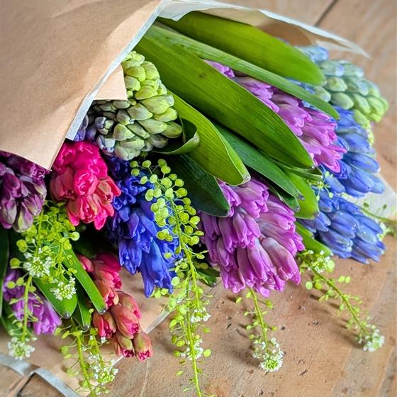 Simply Wrapped - Stems of Mixed English Hyacinth in Brown Paper