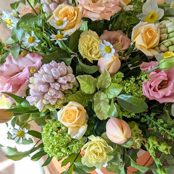 Apricot Delight - Seasonal Hatbox