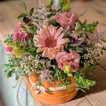 Sugarplum Blush - Charming Hatbox Design