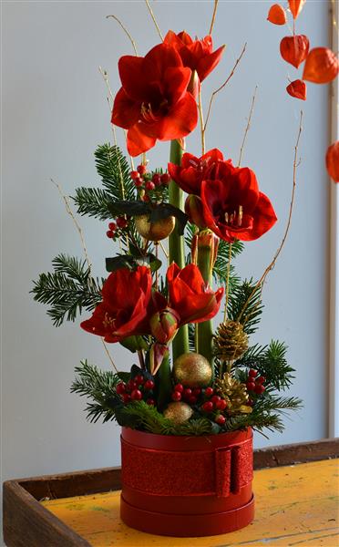 hatleues Christmas Tree Flower Ornament Non-Fading Flowers 12/24pcs Artific : KI Store Christmas Poinsettia Dark Teal Flower 6pcs 8