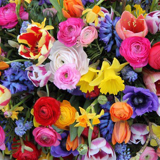 Seasonal Spring Florist Choice Bouquet in Water
